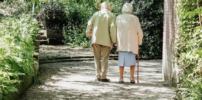 The Physical Care Needs of the Older Person