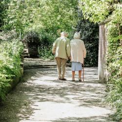 The Physical Care Needs of the Older Person: What To Expect
